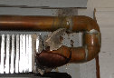 frocogendamage001001.jpg