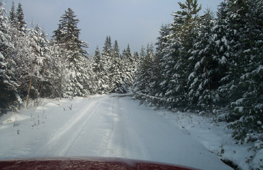 frocopage1_winter_2012001001.jpg