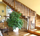 gallery001014.jpg