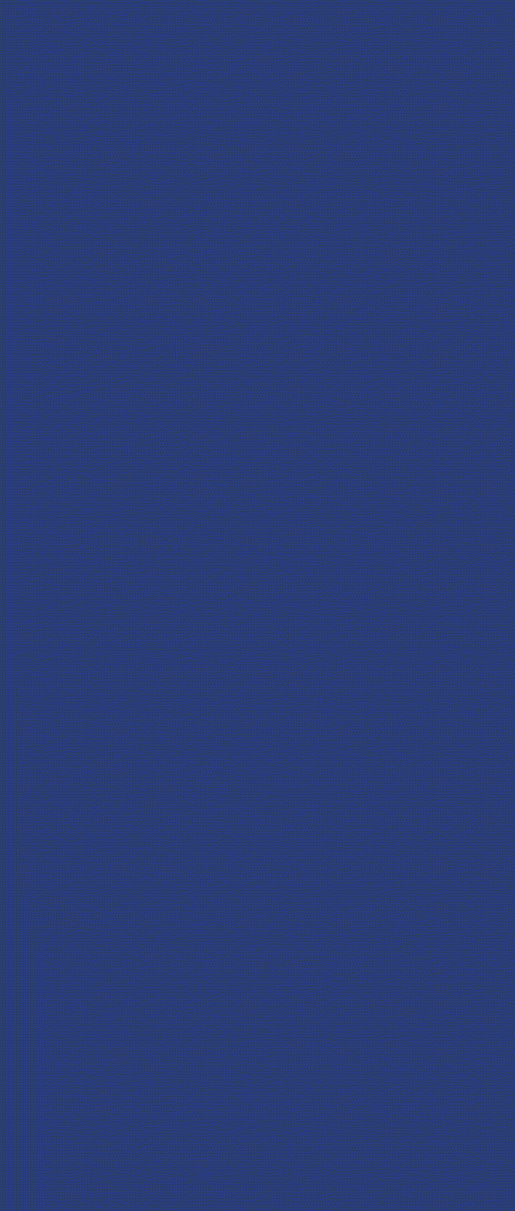 motion002029.gif