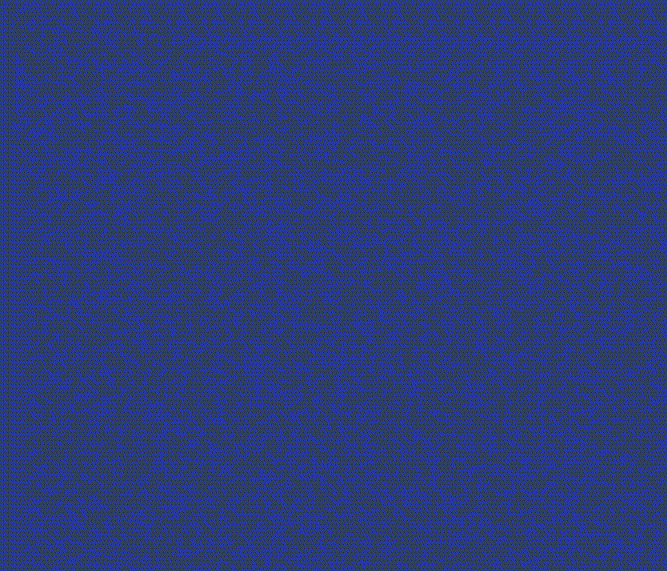 motion004011.gif